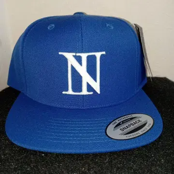 THE BONEZ N-logo flat visor cap 캡/모자
