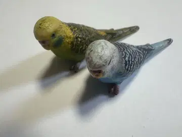 Schleich 세키세이 잉꼬 모형 2개 세트