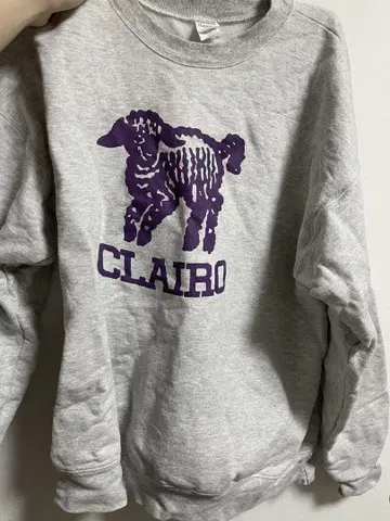 Clairo Charm 맨투맨 L