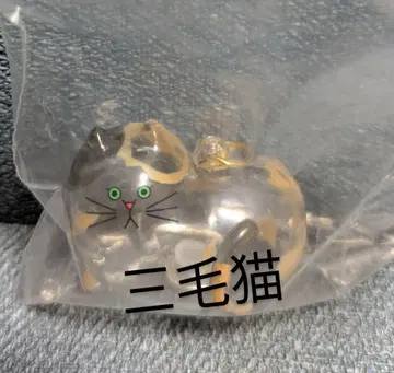 우리 집 고양이, 삼색 고양이, 가챠