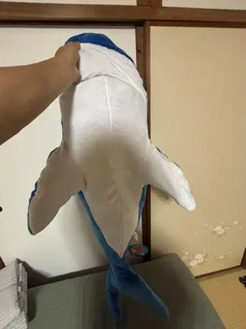 파랑과 화이트의 범고래 봉제 인형 약 60cm