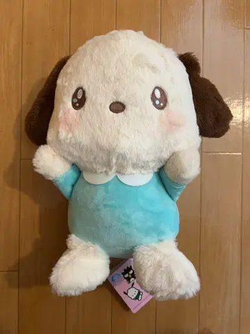 산리오 캐릭터즈 꽉 쥐고 인형 BIG 타입 2 포차코
