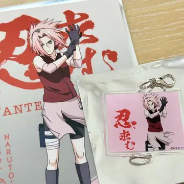 NARUTO 닌자 스카우트 캐러밴 하루노 사쿠라 사쿠라