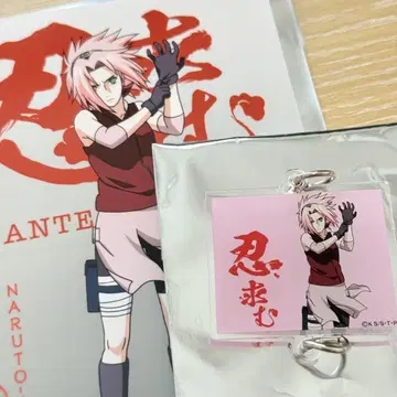 NARUTO 닌자 스카우트 캐러밴 하루노 사쿠라 사쿠라