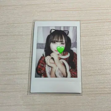 iLiFE! 와카바의 크리스마스 의상 폴라로이드