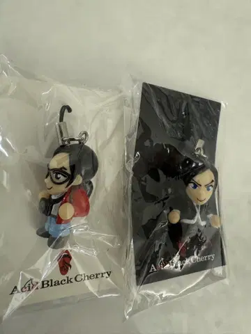 Acid Black Cherry / 스트랩 / 피규어