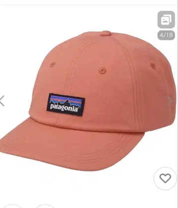 Patagonia 캡