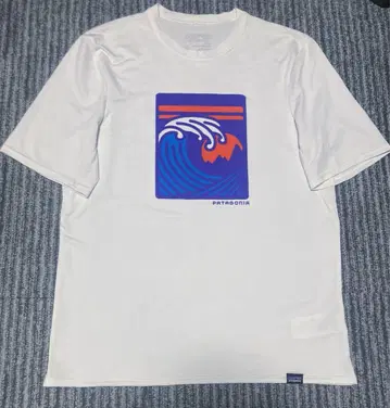 Patagonia 파타고니아 캐플린 그래픽 티셔츠