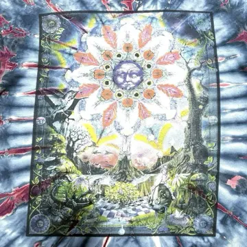 XL 90s Mikio And R Biffle 콜라보 원더랜드의 앨리스