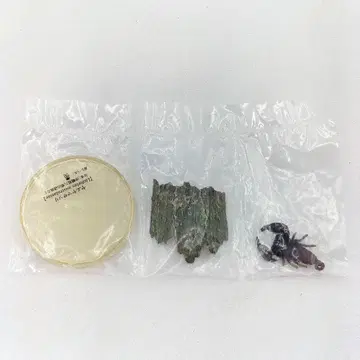 미개봉 신비한 생물 대백과 야에야마 전갈 독침의 침입자 전갈 피규어