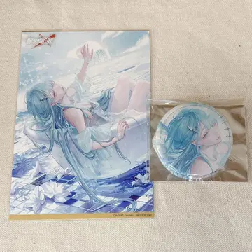 무기한 방황 파보테리아 L.L.
