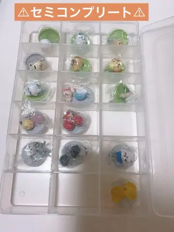 치이카와 (먼작귀) 초코 사프 세미 컴플리트