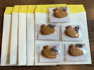 하토사부로 5개 (오늘만)