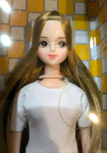미라이 리카짱 캐슬