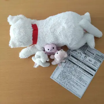 고양이 낳았어요!