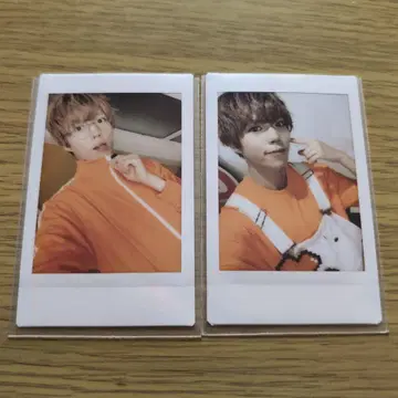 파치 폴라로이드