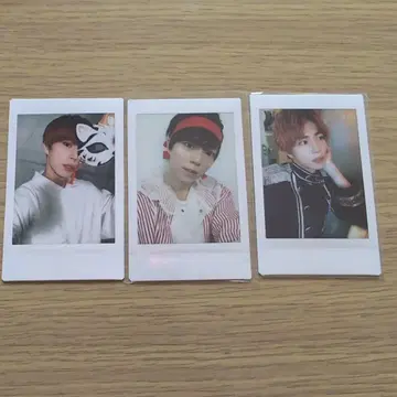파치 폴라로이드