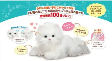 꼬리를 흔들며 애교를 부리는 고양이