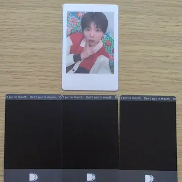 파치 하피카