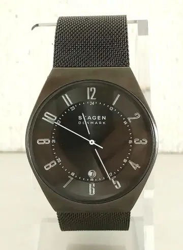 스카겐 그렌 SKW6815