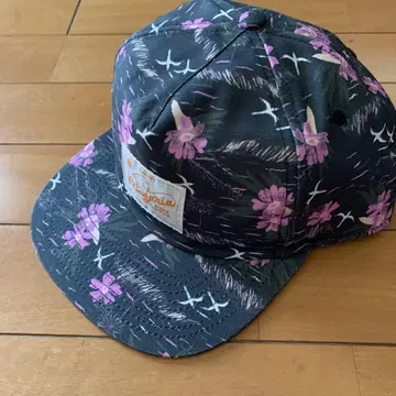 Patagonia 캡