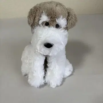 쿠타리 슈나우저 환영합니다