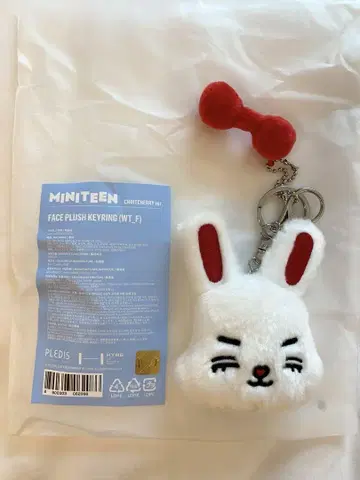SEVENTEEN 에스크 MINITEEN 팝업 키링