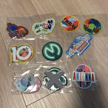 Mrs. GREEN APPLE 10 와펜