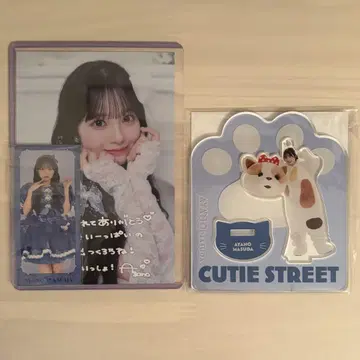 마스다 아야노 고양이 아크릴 스탠드 생일 엽서