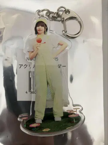 노기자카46 한여름의 전국 투어 카페 나카니시 아르노 아크릴 키링