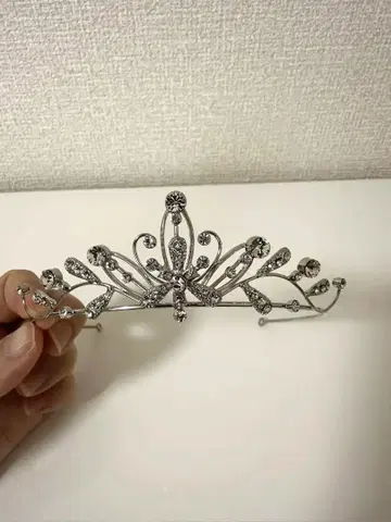 티아라 와타베 웨딩