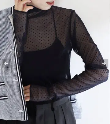 미사용에 가까운 VERMEIL par iena 도트 플로키 튤 풀오버