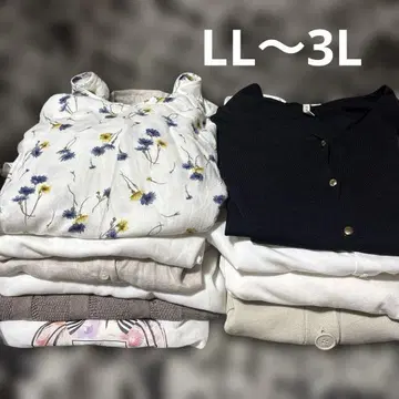 빅 사이즈 묶음 판매