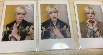 팬더 드래곤 타이 가 하피카