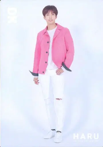 SEVENTEEN 2019 HARU DK 트레이딩 카드 0031