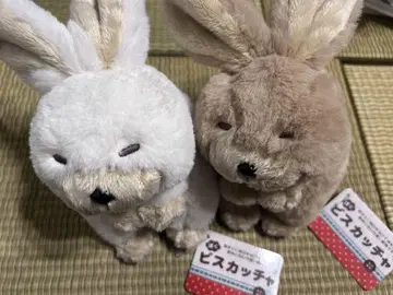 비스카차 봉제 인형 2마리 화이트 브라운