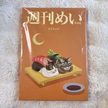 가수 메이짱 유머 주간 메이짱 버전