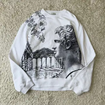 ETRO 에트로 풀오버 맨투맨 트레이닝복 로마 올 패턴