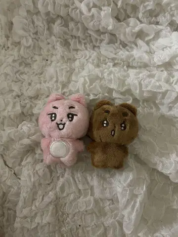 영준 봄규