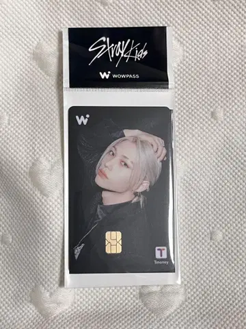 WOWPASS 필릭스 스키즈
