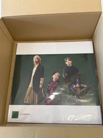 Mrs. GREEN APPLE 미세스 LP 사이즈 사진 포스터 19장