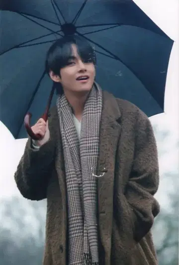 BTS 2020 겨울 패키지 V 브로마이드