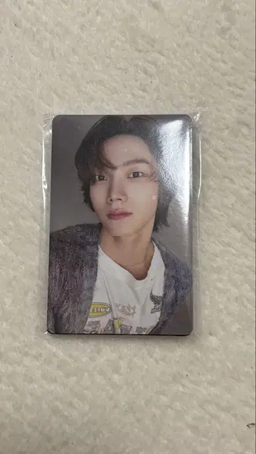 BOYNEXTDOOR 보넥도 트레이딩 카드 후디