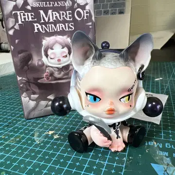 스컬판다 동물들의 여왕 고양이