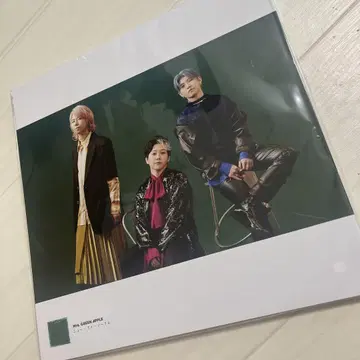 Mrs.GREEN APPLE 미세스 LP 사이즈 사진 포스터 19장