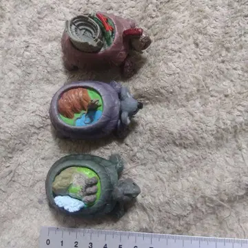 대륙 거북 남아메리카 대륙 거북 호주 대륙 거북 유라시아 대륙 거북