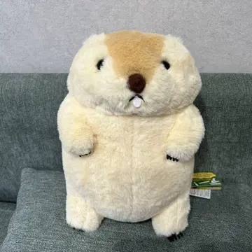 마모트의 모토토 봉제 인형 모토토