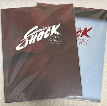 Endless SHOCK 팜플렛