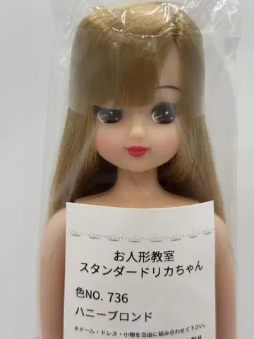 리카짱 허니 블론드 리카짱 캐슬 오타노시미 인형 키라짱