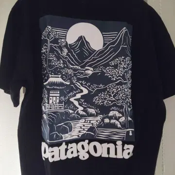 파타고니아 patagonia 티셔츠